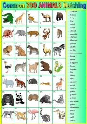 English Worksheet: Common ZOO ANIMALS. Matching. + key