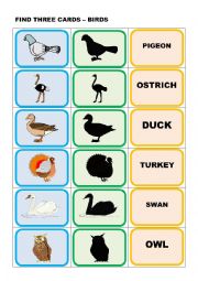 English Worksheet: ANIMALS  - BIRDS