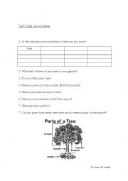 English Worksheet: Lets talk about trees