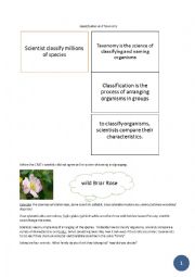 English Worksheet: CLIL scienze - Taxonomy and classification