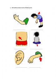 fill the correct name of the body parts