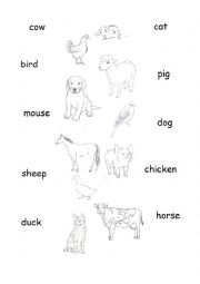 English Worksheet: Connect an animal with a word