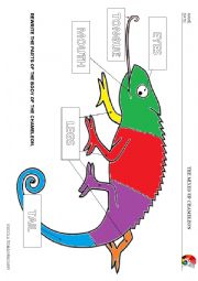 English Worksheet: The mixed up chameleon - parts of the body