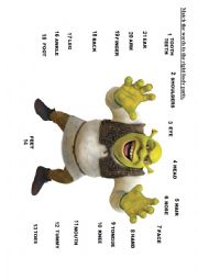 English Worksheet: BODY PARTS OF THE SHREK