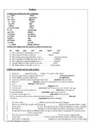 English Worksheet: prefixes