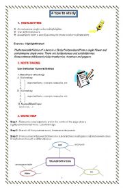 English Worksheet: 4 TIPS TO STUDY (Highlighting, Note-Taking, Word Mapping and have a Study Plan)