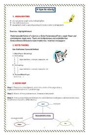 4 TIPS TO STUDY (Highlighting, Note-Taking, Word Mapping and have a Study Plan)