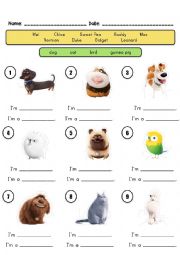 English Worksheet: Secret Life of Pets