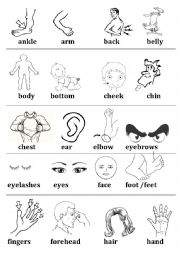 English Worksheet: Body Parts Vocabulary
