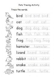 Pets tracing activity