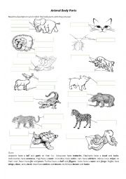 English Worksheet: Animal Body Parts