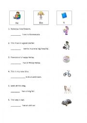 English Worksheet: He, she or it