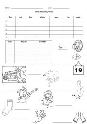 English Worksheet: Spelling Activity