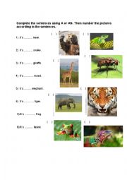 English Worksheet: A X AN