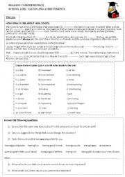 English Worksheet: School life: values and achievements