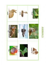English Worksheet: ANIMALS PICTIONARY PART 1