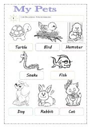 English Worksheet: Pets