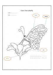 English Worksheet: color the butterfly