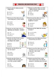 English Worksheet: Feelings & Emotions Test