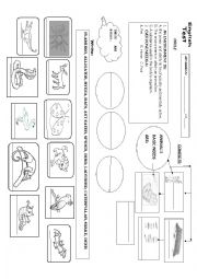 English Worksheet: ANIMAL TEST 