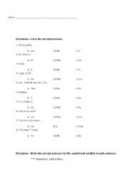 English Worksheet: Subject Pronoun Practice