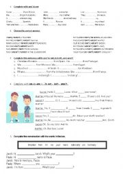 English Worksheet: the verb 