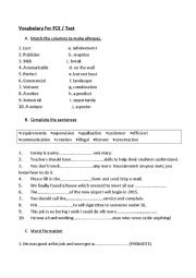 VOCABULARY TEST B2 LEVEL