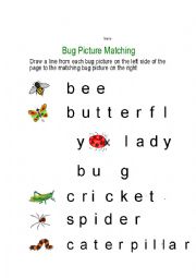English Worksheet: Bugs tracing words