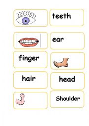English Worksheet: Parts of the body - domino 
