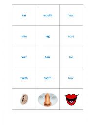 English Worksheet: Body Parts memory game