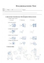 English Worksheet: English Diagnostic Test