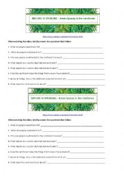 English Worksheet: Listening - The Rainforest