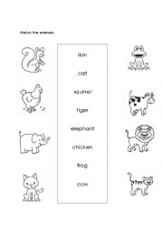 English Worksheet: Animals