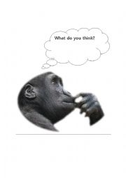 English Worksheet: What do you think?