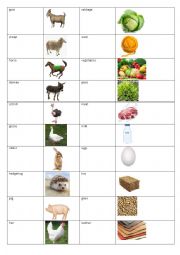 English Worksheet: Vocabulary farm animals and what they give us