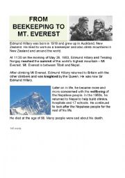 English Worksheet: Sir Edmund Hillary