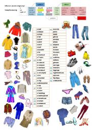 English Worksheet: What are you wearing today?