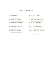English Worksheet: Wild animals