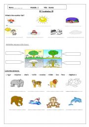 English Worksheet: worksheet