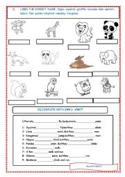 animals and their abilities, can cant worksheet 