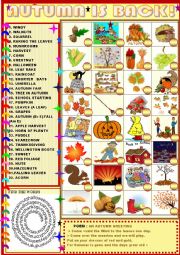 English Worksheet: Autumn is back