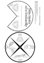 English Worksheet: form catepillar to butterfly.Life Cycle.craft-board