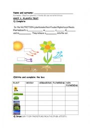 English Worksheet: PLANTS