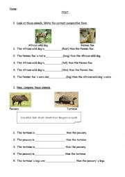 English Worksheet: Comparatives and animal description
