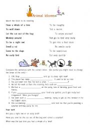 English Worksheet: Animal Idioms