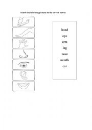 English Worksheet: Body parts