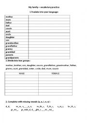 English Worksheet: My family