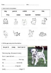 English Worksheet: pets