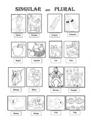 English Worksheet: Singular and Plural