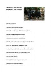 English Worksheet: Jane Goodall: Among the Wild Chimpanzees Video Lesson.